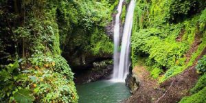 Bali Private Jungle Trekking Tour Cheapest